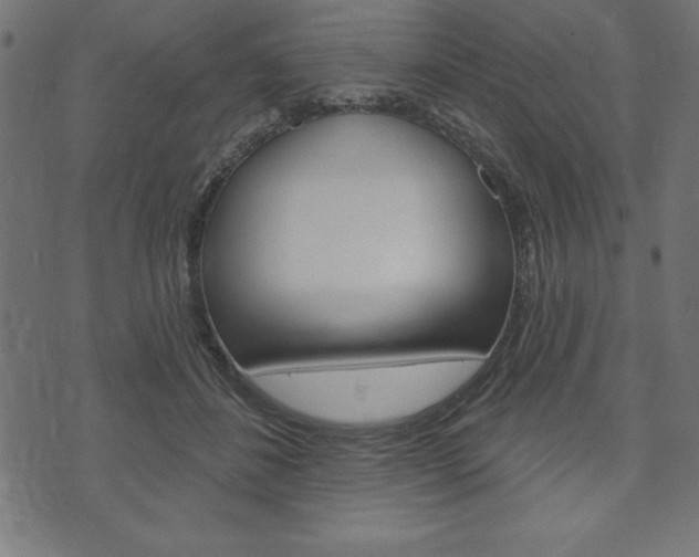 X0000074010508200608211047