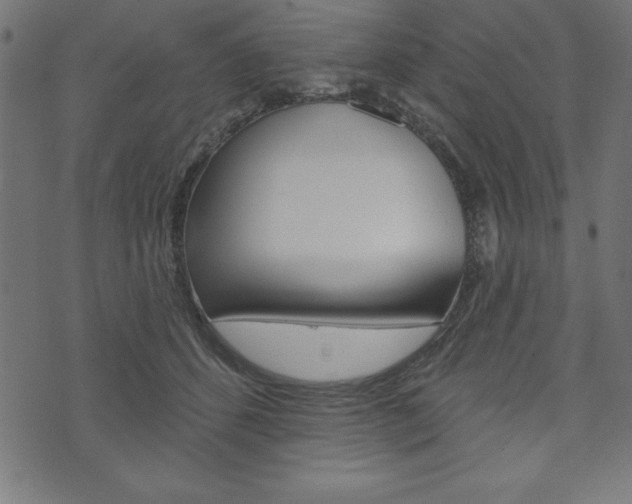 X0000074010512200608211047