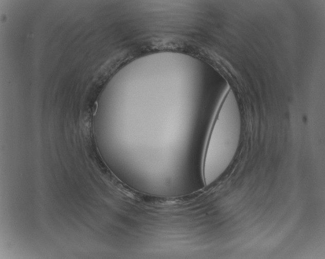 X0000074010513200608211047