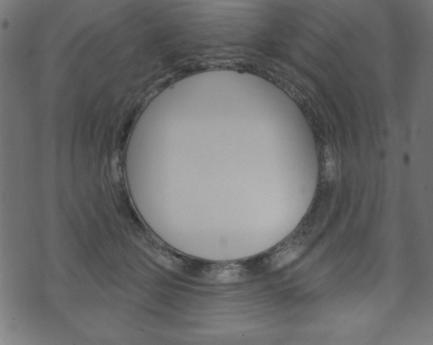 X0000074010514200608211047