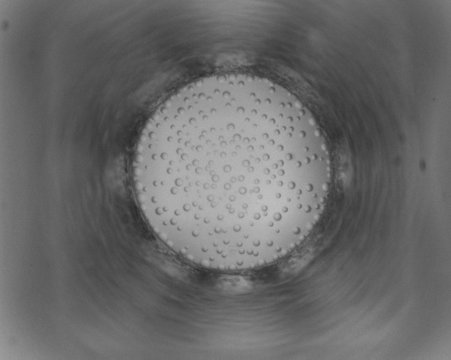 X0000074010519200608211047