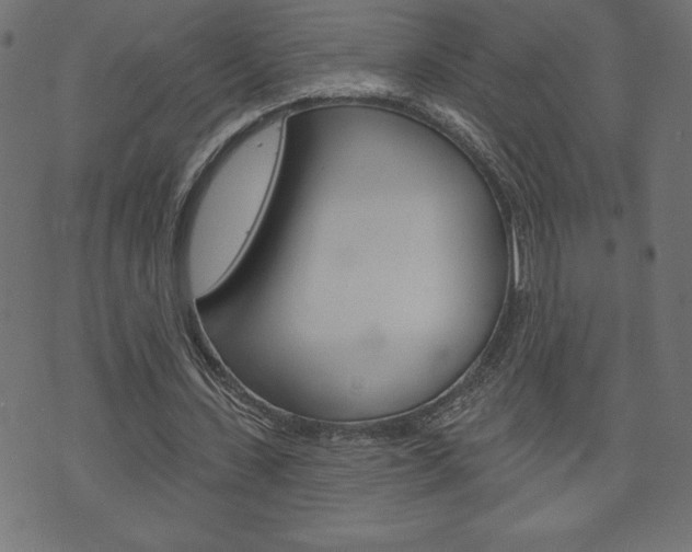 X0000074010531200608211046