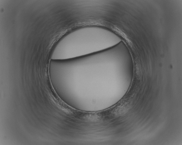 X0000074010537200608211046