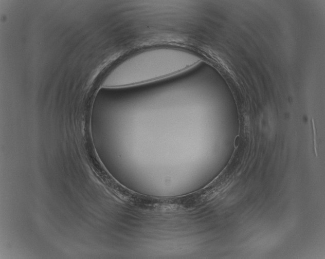 X0000074010539200608211046