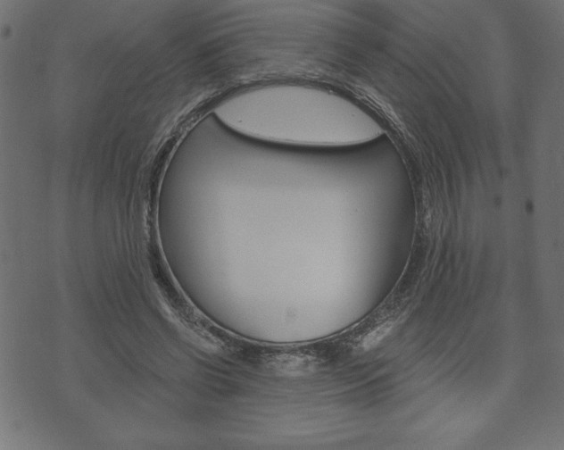 X0000074010542200608211046