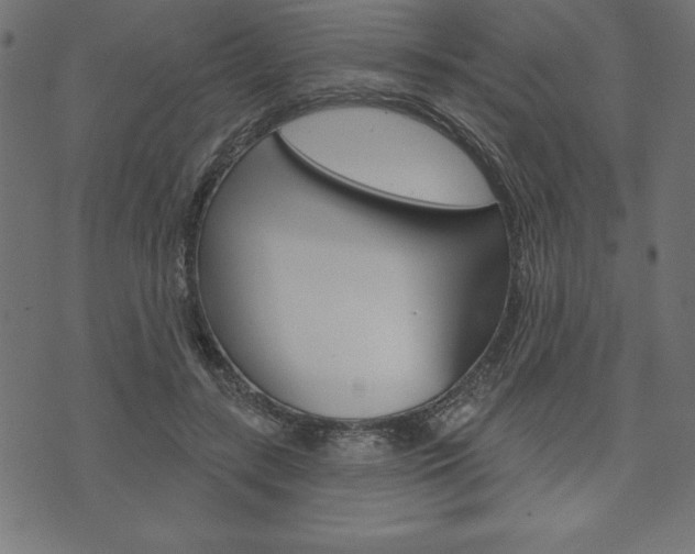 X0000074010547200608211046