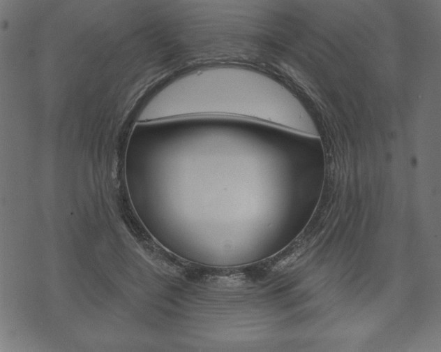 X0000074010548200608211046