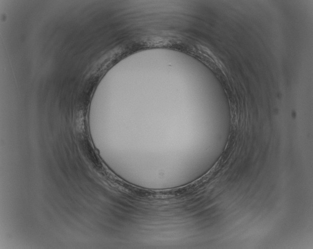 X0000074010549200608211046