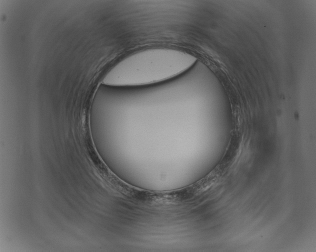 X0000074010550200608211046