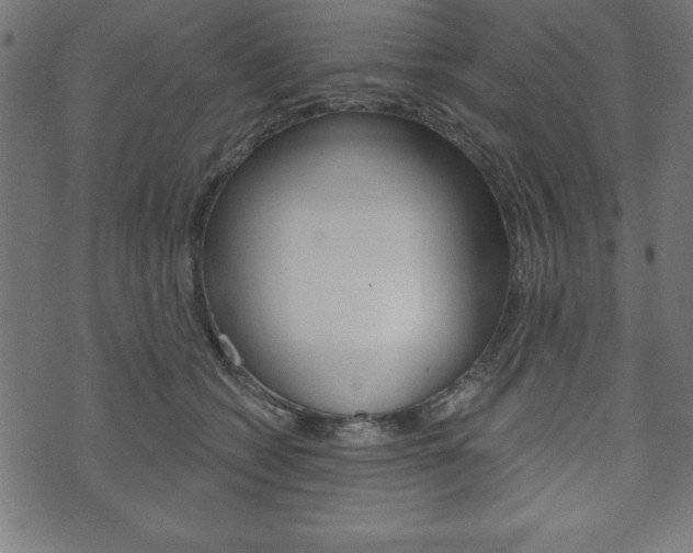 X0000074010562200608211046