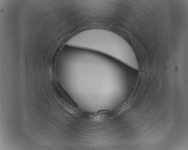 X0000074010564200608211046