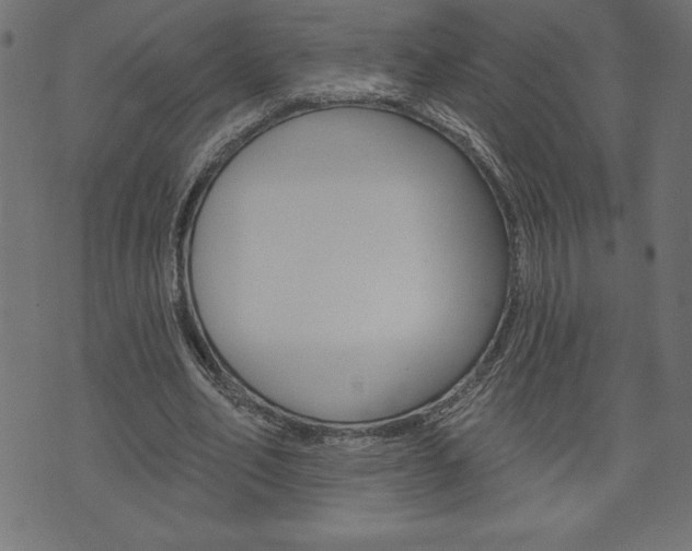 X0000074010582200608211046
