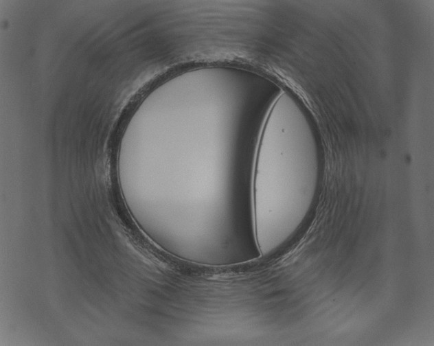X0000074010584200608211045