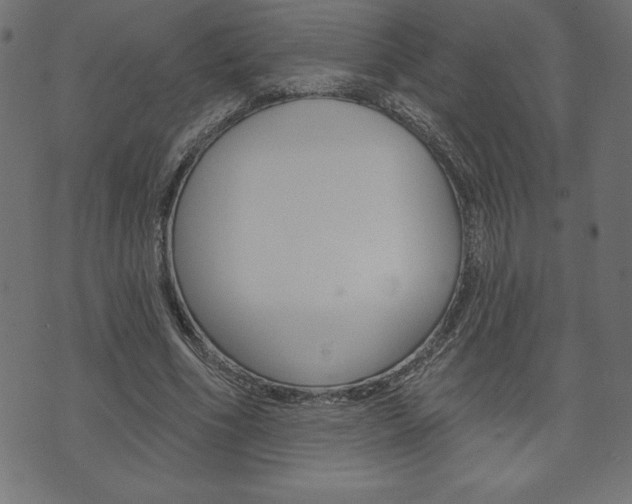 X0000074010586200608211045