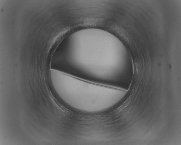 X0000074010588200608211045