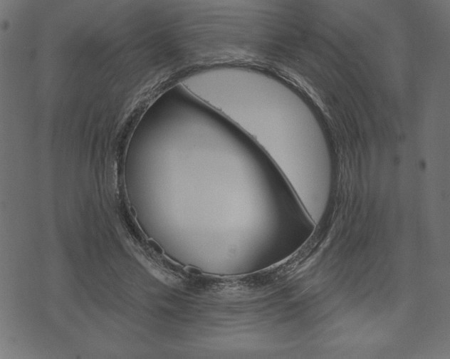 X0000074010589200608211045