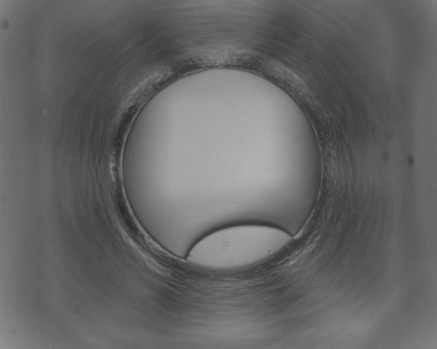 X0000074010590200608211045