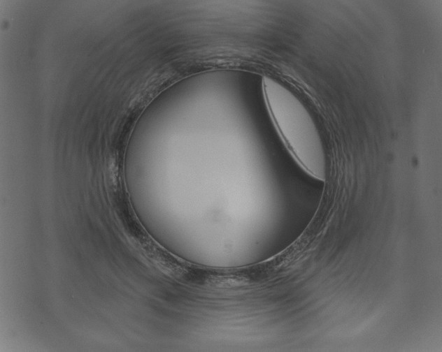 X0000074010597200608211045