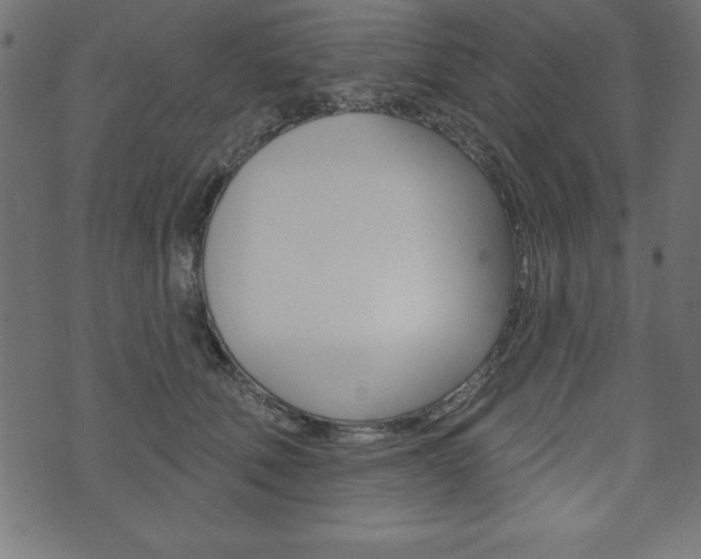 X0000074010610200608211045