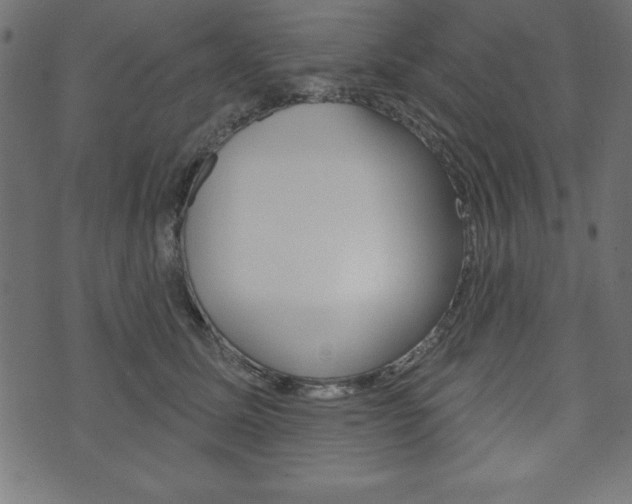 X0000074010611200608211045