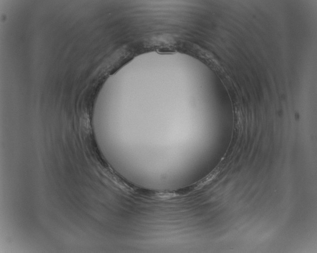 X0000074010617200608211045