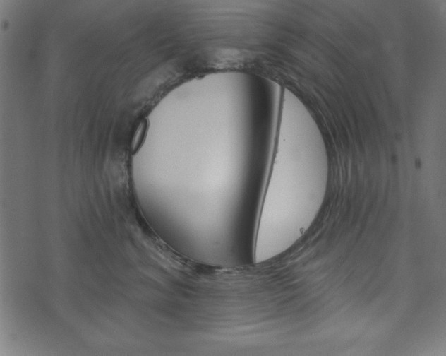 X0000074010620200608211045
