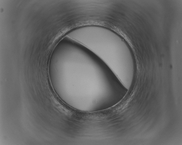 X0000074010625200608211044