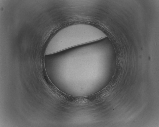 X0000074010642200608211044