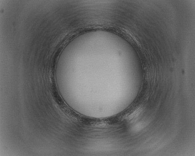 X0000074010643200608211044