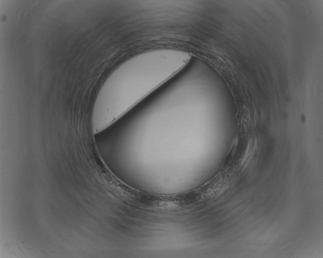 X0000074010649200608211044