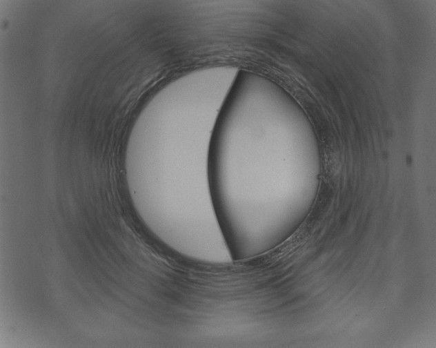 X0000074010652200608211044