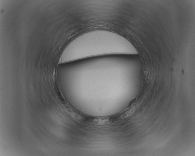 X0000074010660200608211045