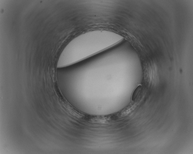 X0000074010661200608211045