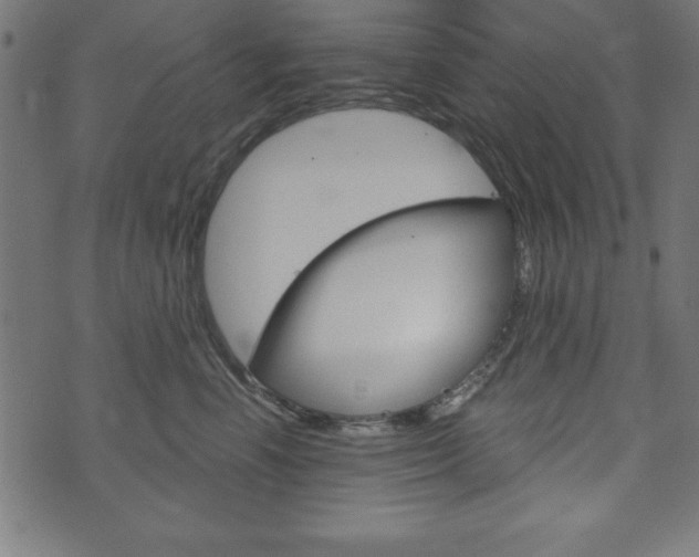 X0000074010666200608211045