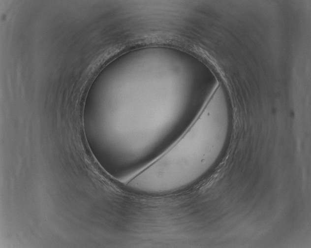 X0000074010673200608211044