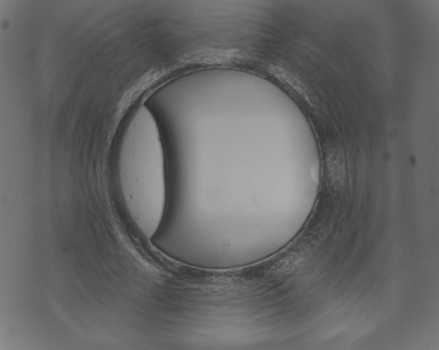 X0000074010682200608211044