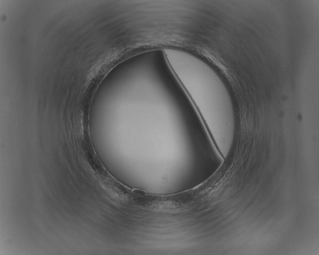 X0000074010685200608211044