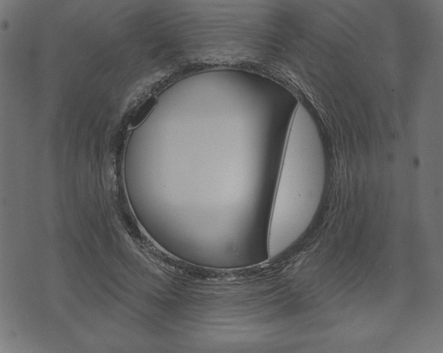 X0000074010688200608211044