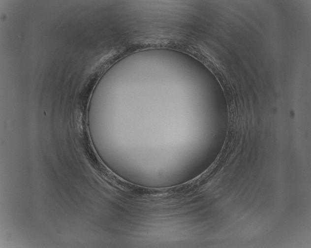 X0000074010692200608211044