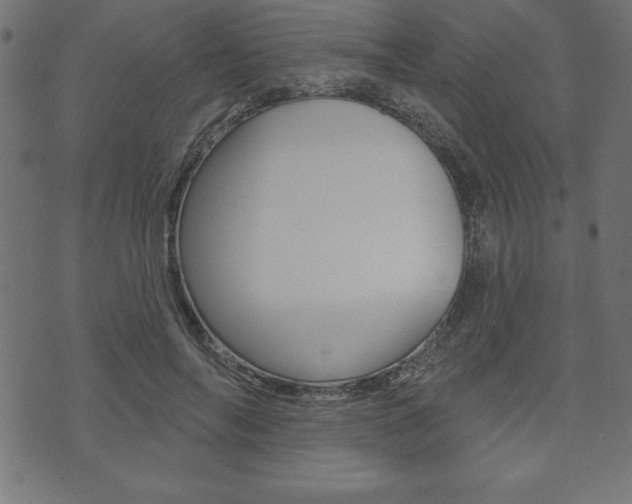 X0000074010694200608211044