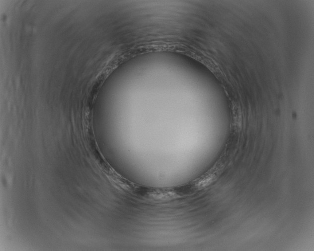 X0000074010712200608211043