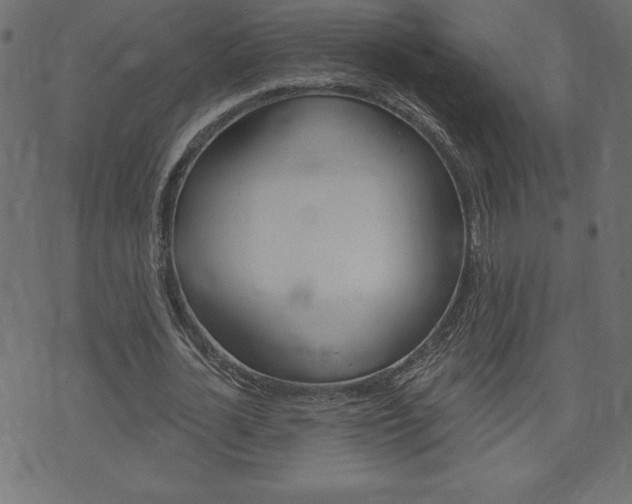 X0000074010724200608211042