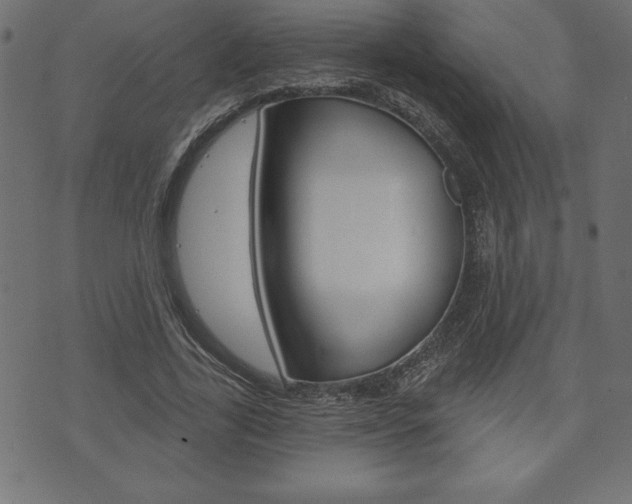 X0000074010731200608211043