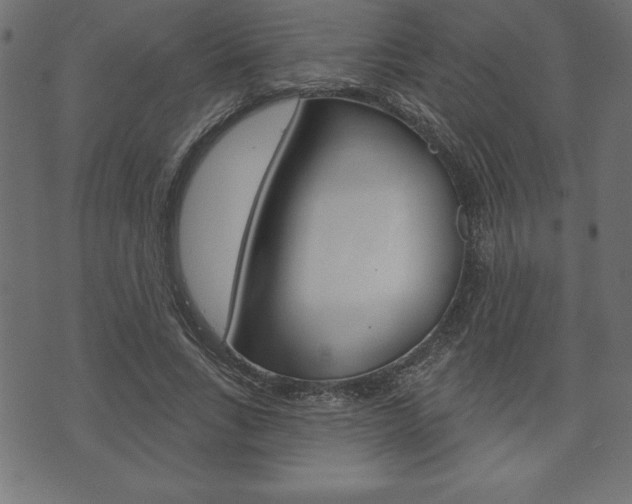 X0000074010735200608211043