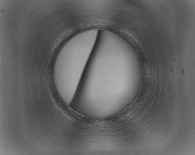 X0000074010738200608211043