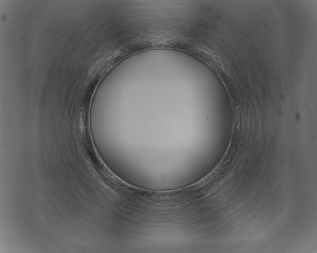 X0000074010740200608211043