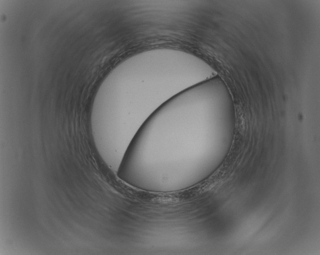 X0000074010745200608211043