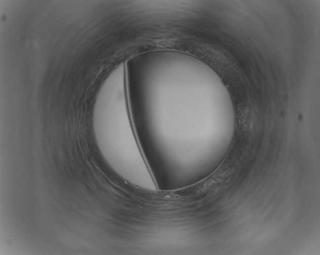 X0000074010752200608211043