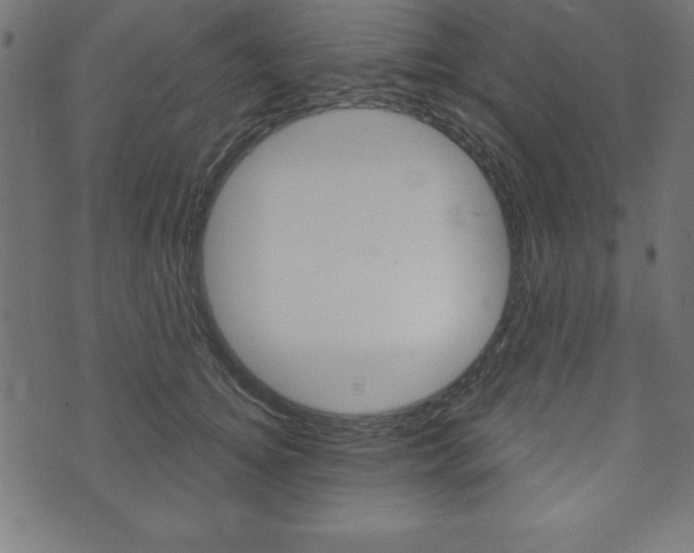 X0000074010756200608211043
