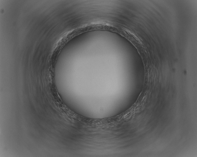 X0000074010776200608211042